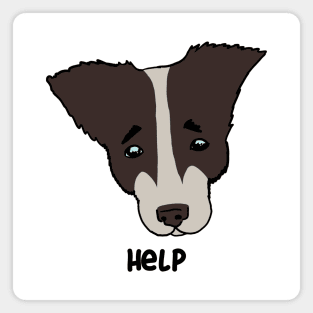 help. sad dog Magnet